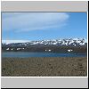 Kjollur2001_0630_104942AA.JPG