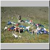 Kjollur2001_0630_131639AA.JPG