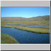 Kjollur2001_0630_151637AA.JPG
